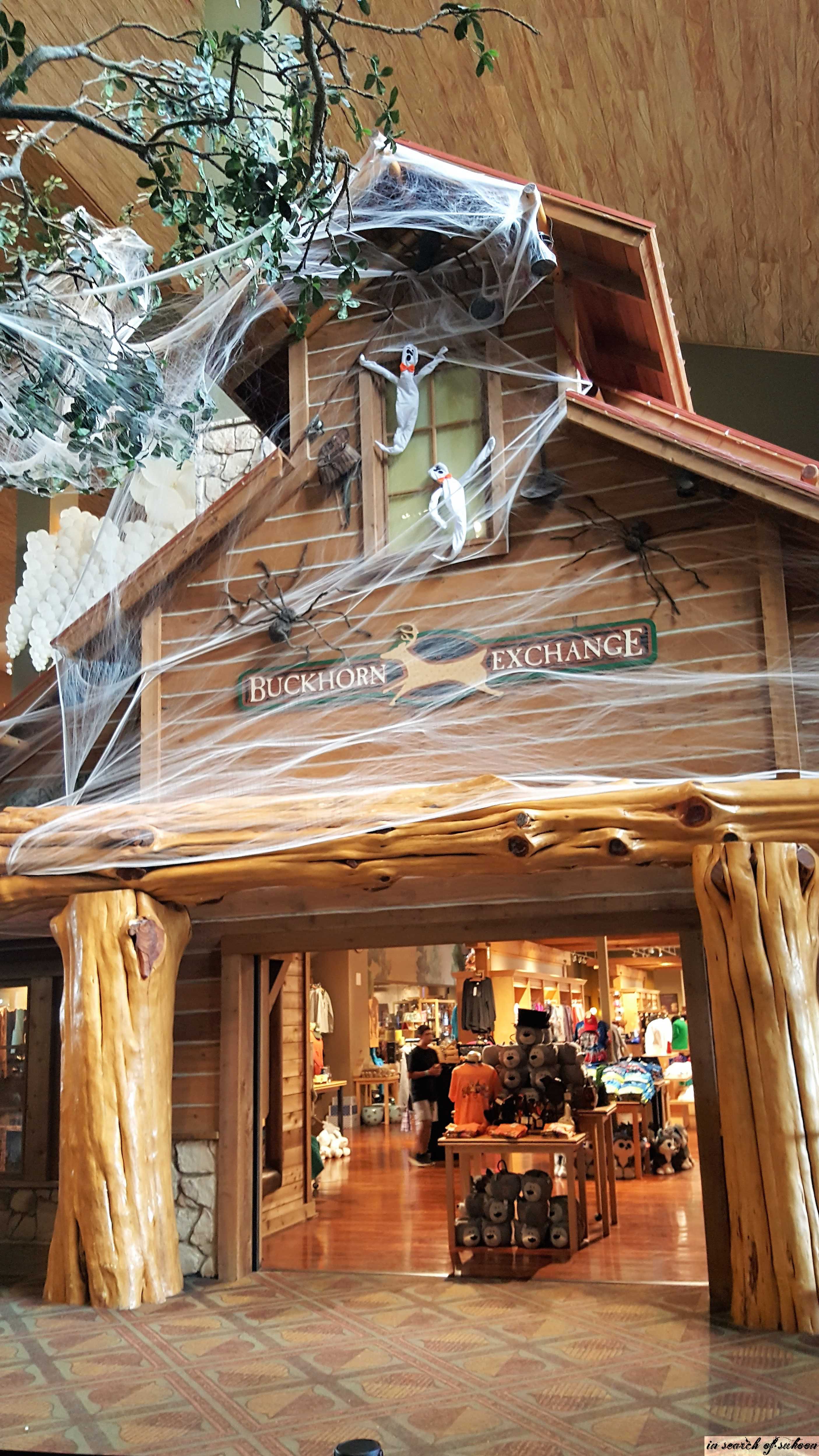 GREAT WOLF LODGE GRAPEVINE